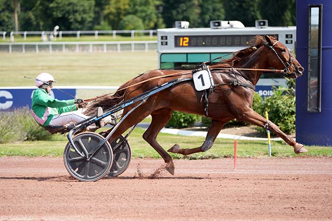 Photo d'arrivée de la course pmu PRIX DE PORNIC à ENGHIEN le Samedi 9 août 2025