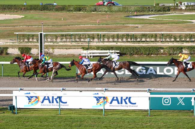Photo d'arrivée de la course pmu PRIX HIPODROMO DE PALERMO (ARG) à DEAUVILLE le Dimanche 10 août 2025