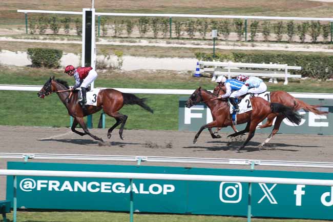 Photo d'arrivée de la course pmu PRIX DE LA FORGE - CATEGORIE JEUNE ESPOIR - AFASEC à DEAUVILLE le Mardi 12 août 2025