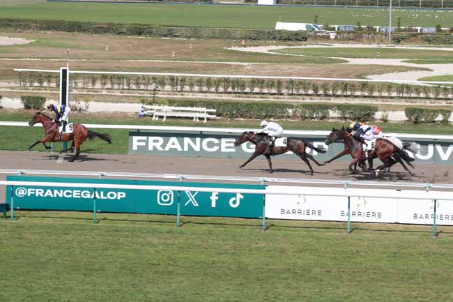 Photo d'arrivée de la course pmu PRIX DE PRE-EN-PAIL - CATEGORIE PERSONNEL DE HARAS - FDEG à DEAUVILLE le Mardi 12 août 2025