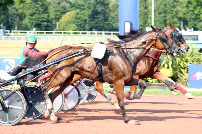 Photo d'arrivée de la course pmu PRIX DE LA PORTE DU PRE-SAINT-GERVAIS à ENGHIEN le Jeudi 14 août 2025