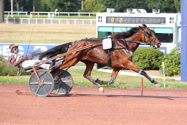 Photo d'arrivée de la course pmu PRIX D'ELANCOURT à ENGHIEN le Jeudi 14 août 2025