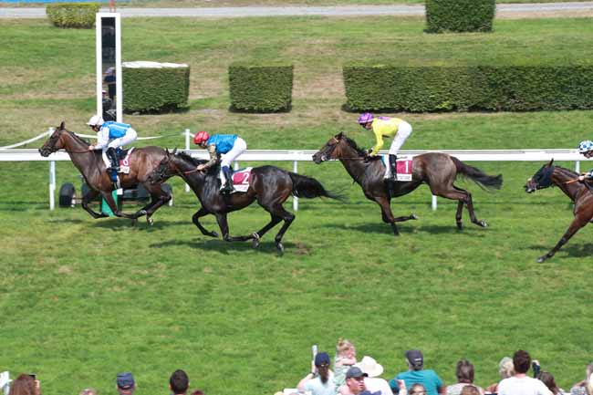 Photo d'arrivée de la course pmu PRIX GRAND JEU DE L'ETE GENYBET (PRIX TIP MOSS) à CLAIREFONTAINE le Vendredi 15 août 2025
