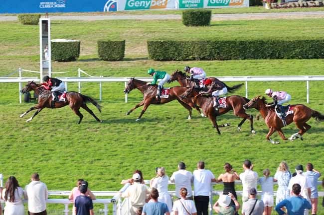 Photo d'arrivée de la course pmu PRIX GENYBET COTE A COTE (PRIX DE GUERNESEY) à CLAIREFONTAINE le Vendredi 15 août 2025