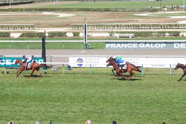 Photo d'arrivée de la course pmu PRIX GUILLAUME D'ORNANO à DEAUVILLE le Samedi 16 août 2025