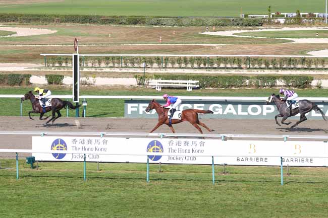 Photo d'arrivée de la course pmu PRIX DE CAMPIGNY à DEAUVILLE le Samedi 16 août 2025