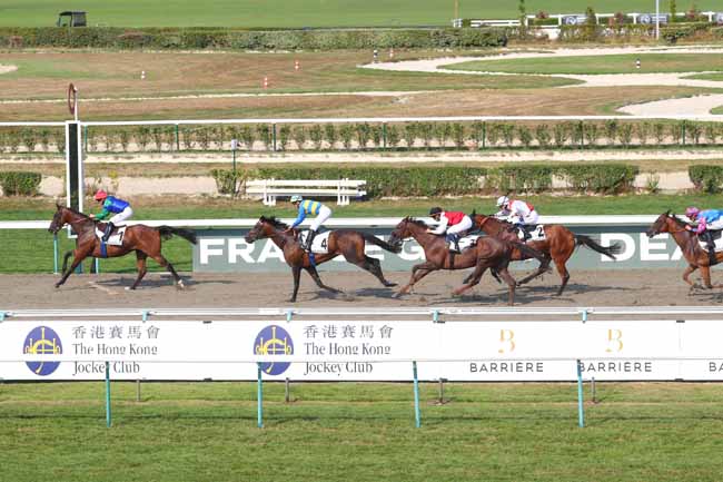 Photo d'arrivée de la course pmu PRIX D'AUVILLARS à DEAUVILLE le Samedi 16 août 2025