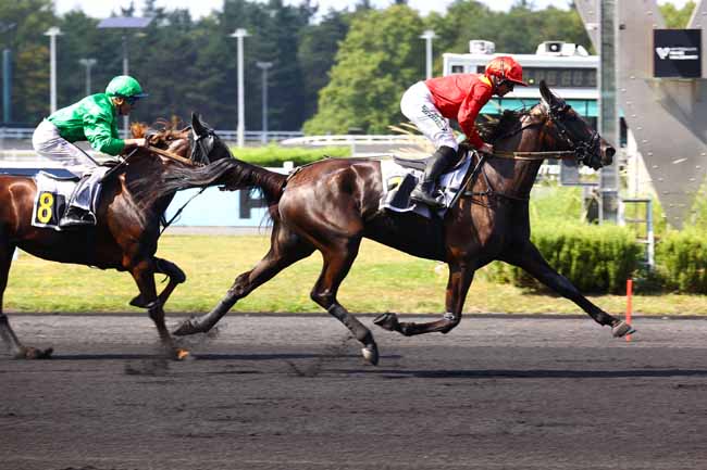 Photo d'arrivée de la course pmu PRIX PARIS TURF (PRIX LEGOUX-LONGPRE) à PARIS-VINCENNES le Samedi 16 août 2025