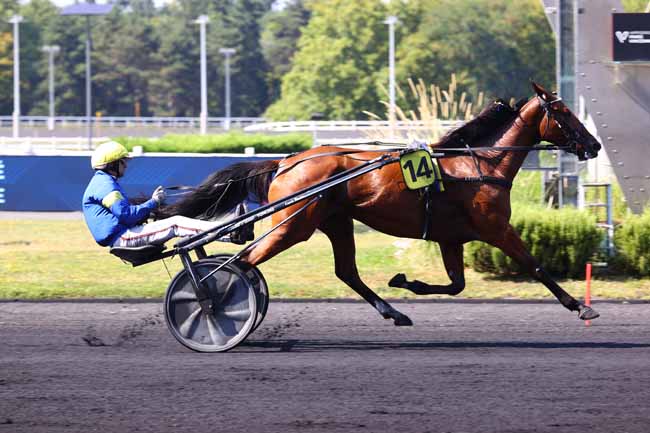 Photo d'arrivée de la course pmu PRIX PAUL LEGUERNEY - CRITERIUM 4 ANS Q1 à PARIS-VINCENNES le Samedi 16 août 2025