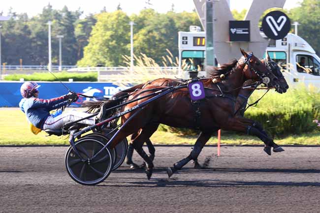 Photo d'arrivée de la course pmu PRIX DE DINARD à PARIS-VINCENNES le Samedi 16 août 2025