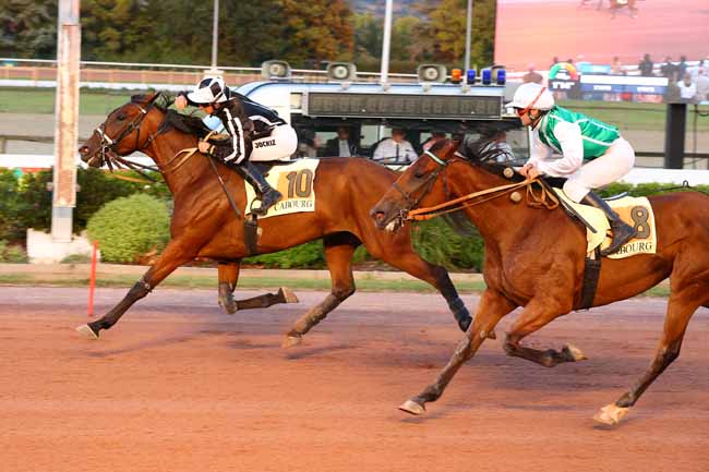 Photo d'arrivée de la course pmu PRIX D'ALENCON à CABOURG le Vendredi 22 août 2025