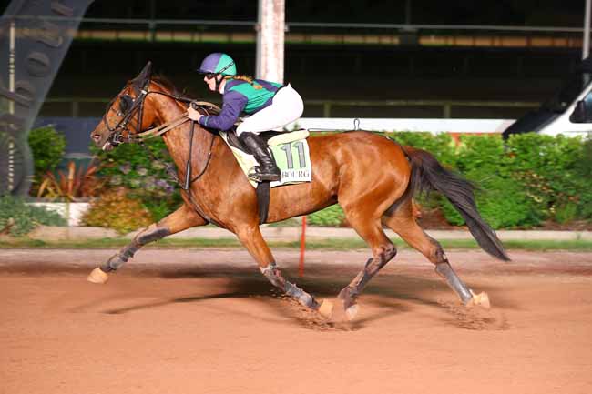 Photo d'arrivée de la course pmu PRIX DE MOULINS-LA-MARCHE à CABOURG le Vendredi 22 août 2025