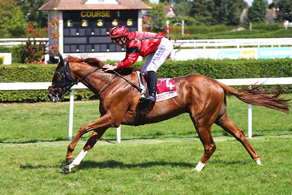 Photo d'arrivée de la course pmu PRIX DEAUVILLE AVENTURE (PRIX VOIX DU NORD) à CLAIREFONTAINE le Vendredi 22 août 2025