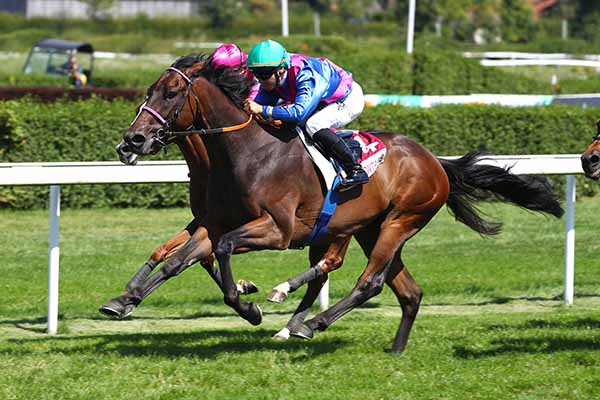 Photo d'arrivée de la course pmu PRIX XP PEN (PRIX DES GARDENIAS) à CLAIREFONTAINE le Vendredi 22 août 2025