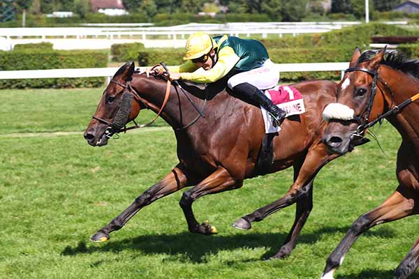 Photo d'arrivée de la course pmu PRIX DAMA DREAMS & LE HANGAR A ENIGMES (PRIX DES RENONCULES) à CLAIREFONTAINE le Vendredi 22 août 2025