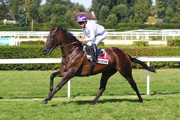 Photo d'arrivée de la course pmu PRIX WOODY PARK (PRIX DES PATURAGES) à CLAIREFONTAINE le Vendredi 22 août 2025
