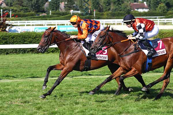 Photo d'arrivée de la course pmu PRIX LA GRANDE RECRE DE TOUQUES (PRIX DES BOCAGES) à CLAIREFONTAINE le Vendredi 22 août 2025