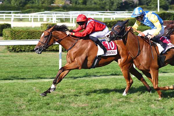 Photo d'arrivée de la course pmu PRIX CIRCUIT DE DEAUVILLE (PRIX DES PAQUERETTES) à CLAIREFONTAINE le Vendredi 22 août 2025