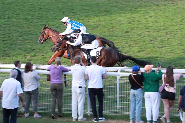 Photo d'arrivée de la course pmu PRIX DU LAIZON à DEAUVILLE le Samedi 23 août 2025