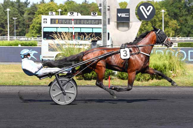 Photo d'arrivée de la course pmu PRIX DE LURY-SUR-ARNON à PARIS-VINCENNES le Samedi 23 août 2025