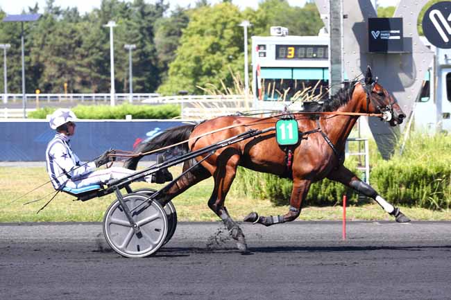 Photo d'arrivée de la course pmu YEARLING CUP 2025 - ARQANA TROT à PARIS-VINCENNES le Samedi 23 août 2025