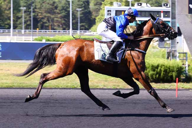 Photo d'arrivée de la course pmu PRIX DE TOULON à PARIS-VINCENNES le Lundi 25 août 2025