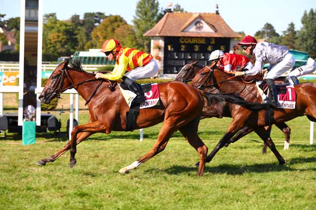 Photo d'arrivée de la course pmu PRIX VANS BARBOT (PRIX DE TOUQUES) à CLAIREFONTAINE le Lundi 25 août 2025