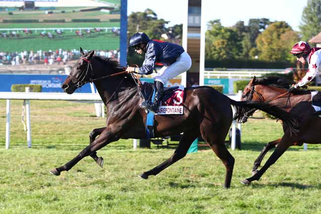 Photo d'arrivée de la course pmu PRIX CONCERT-FEU D'ARTIFICE CLAIREFONTAINE 25 AOUT (PRIX D'HEROUVILLETTE) à CLAIREFONTAINE le Lundi 25 août 2025