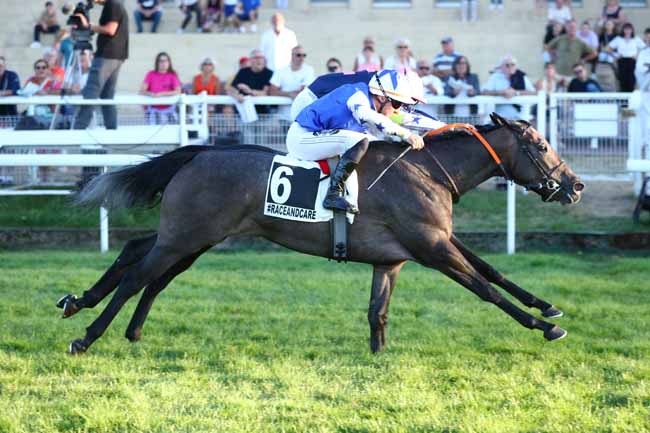 Photo d'arrivée de la course pmu PRIX RACEANDCARE (PRIX NORTH JET) à CLAIREFONTAINE le Lundi 25 août 2025