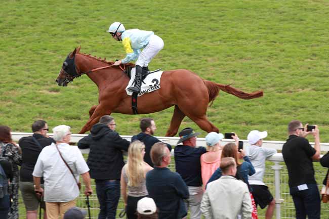 Photo d'arrivée de la course pmu PRIX DE LA LIEUTENANCE à DEAUVILLE le Mardi 26 août 2025