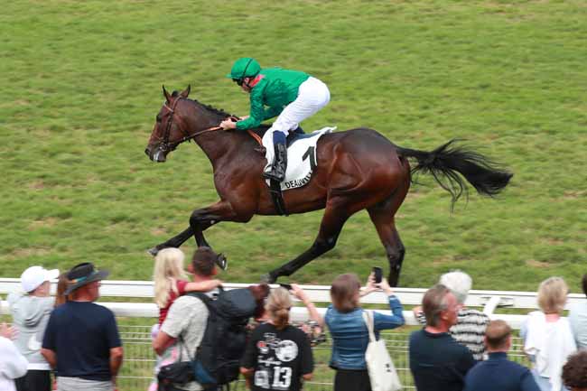 Photo d'arrivée de la course pmu PRIX DE SAINT-HYMER à DEAUVILLE le Mardi 26 août 2025