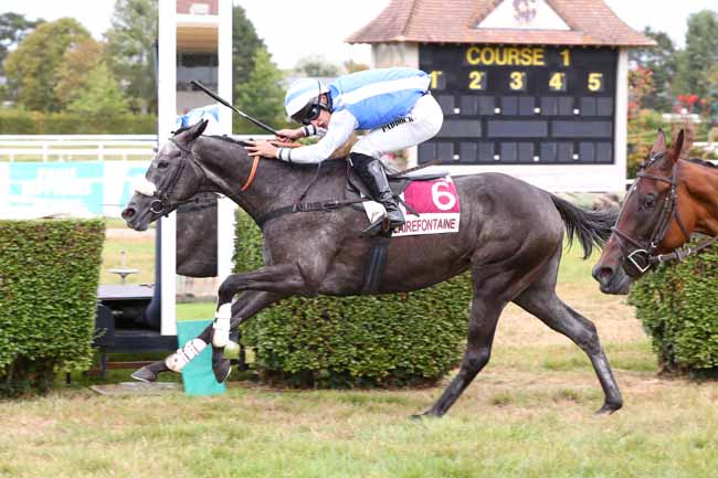Photo d'arrivée de la course pmu PRIX DES SYCOMORES (PRIX GENYBET) à CLAIREFONTAINE le Mercredi 27 août 2025