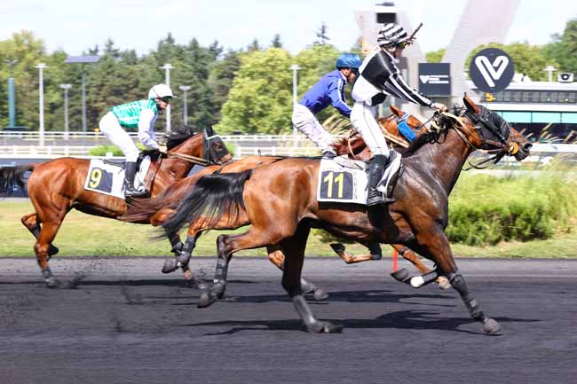 Photo d'arrivée de la course pmu PRIX D'ECOMMOY à PARIS-VINCENNES le Mercredi 27 août 2025