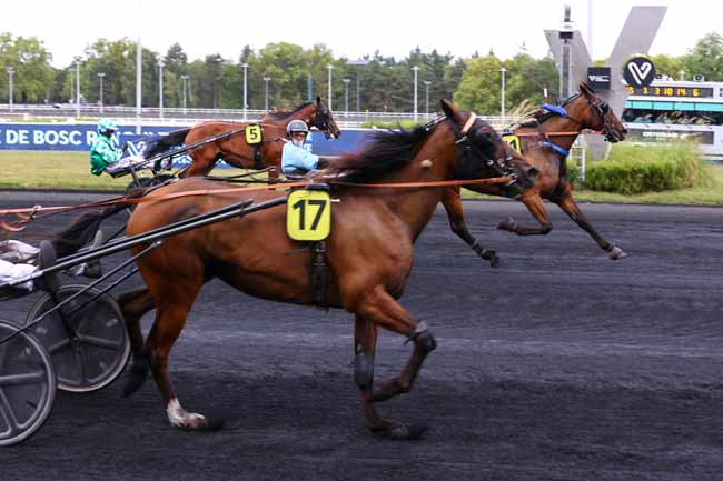Photo d'arrivée de la course pmu PRIX DE BOSC RENOULT à PARIS-VINCENNES le Mercredi 27 août 2025
