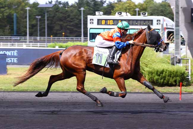 Photo d'arrivée de la course pmu PRIX DE PERPIGNAN à PARIS-VINCENNES le Mercredi 27 août 2025
