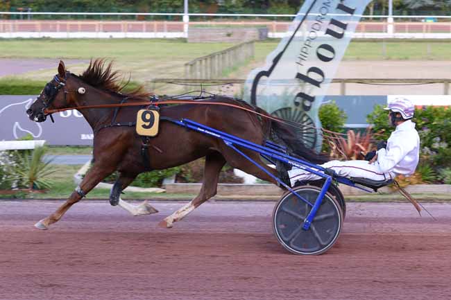 Photo d'arrivée de la course pmu PRIX DES RENONCULES à CABOURG le Vendredi 29 août 2025