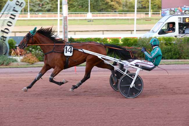 Photo d'arrivée de la course pmu PRIX LOCATECH ARTIFICE à CABOURG le Vendredi 29 août 2025