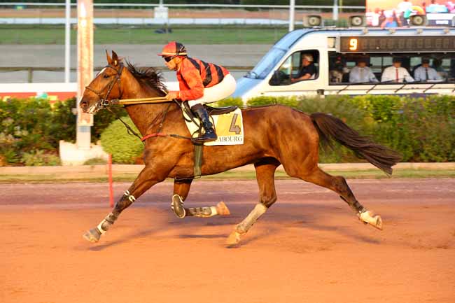 Photo d'arrivée de la course pmu PRIX DU JOURNAL 