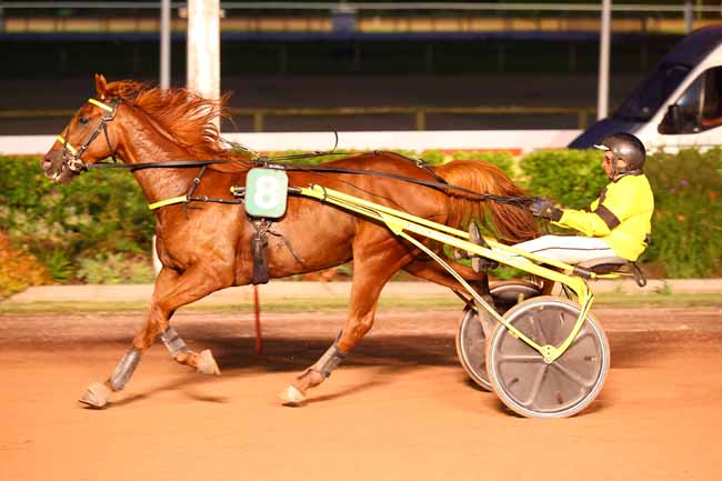 Photo d'arrivée de la course pmu PRIX HIPPODROME DE SOLVALLA à CABOURG le Vendredi 29 août 2025