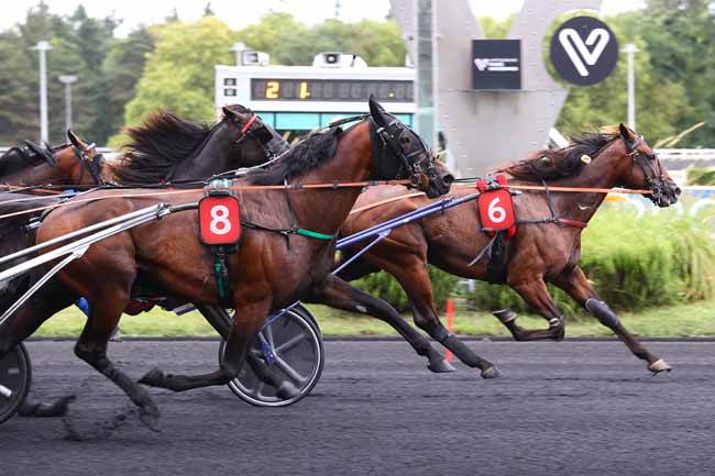 Photo d'arrivée de la course pmu PRIX JOCKEY - CRITERIUM 5 ANS Q2 à PARIS-VINCENNES le Samedi 30 août 2025