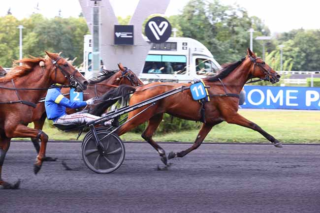Photo d'arrivée de la course pmu PRIX GASTON DE WAZIERES - CRITERIUM 4 ANS Q4 à PARIS-VINCENNES le Samedi 30 août 2025