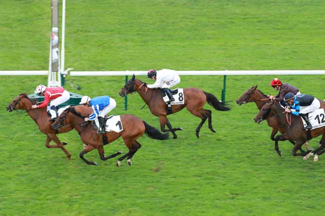 Photo d'arrivée de la course pmu PRIX DE LA COCHERE à LONGCHAMP le Dimanche 31 août 2025