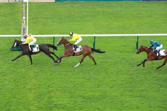 Photo d'arrivée de la course pmu PRIX DE PONTHIEU à LONGCHAMP le Dimanche 31 août 2025