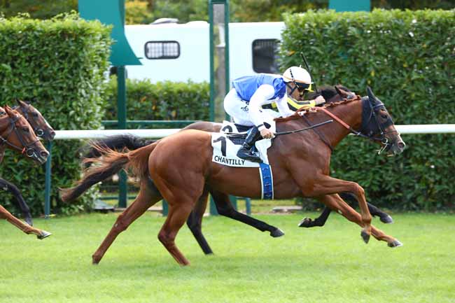 Photo d'arrivée de la course pmu PRIX DE MONTPENSIER à CHANTILLY le Lundi 1 septembre 2025