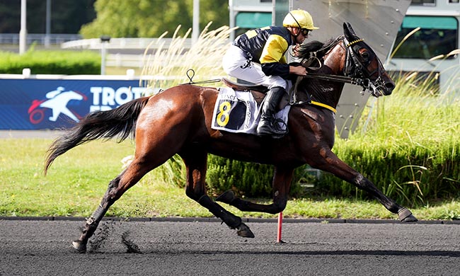 Photo d'arrivée de la course pmu PRIX BRUNHILD à PARIS-VINCENNES le Lundi 1 septembre 2025
