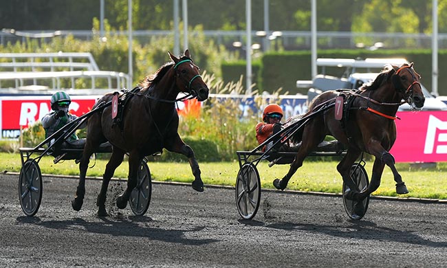 Photo d'arrivée de la course pmu PRIX DORADO à PARIS-VINCENNES le Lundi 1 septembre 2025