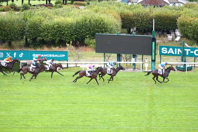 Photo d'arrivée de la course pmu PRIX DE L'ETANG DE SAINT-CUCUFA à SAINT CLOUD le Mardi 2 septembre 2025