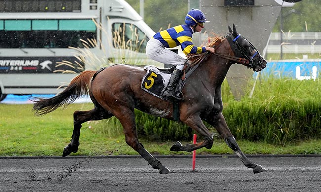 Photo d'arrivée de la course pmu PRIX DE BIHOREL à PARIS-VINCENNES le Mardi 2 septembre 2025