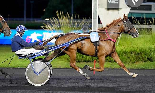 Photo d'arrivée de la course pmu PRIX DE SAINT-DIE à PARIS-VINCENNES le Mardi 2 septembre 2025