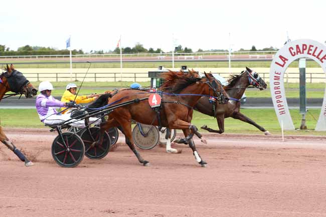 Photo d'arrivée de la course pmu PRIX DE LA CHAMBRE D'AGRICULTURE DE L'AISNE (PRIX D'AMIENS) à LA CAPELLE le Mercredi 3 septembre 2025